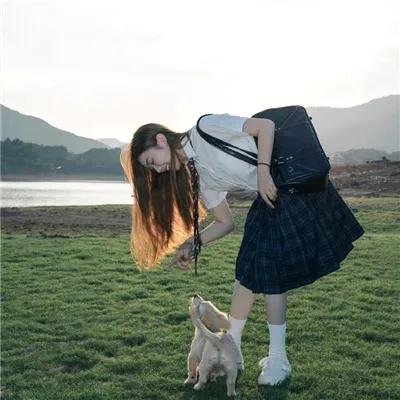 机器肉鸡第六季